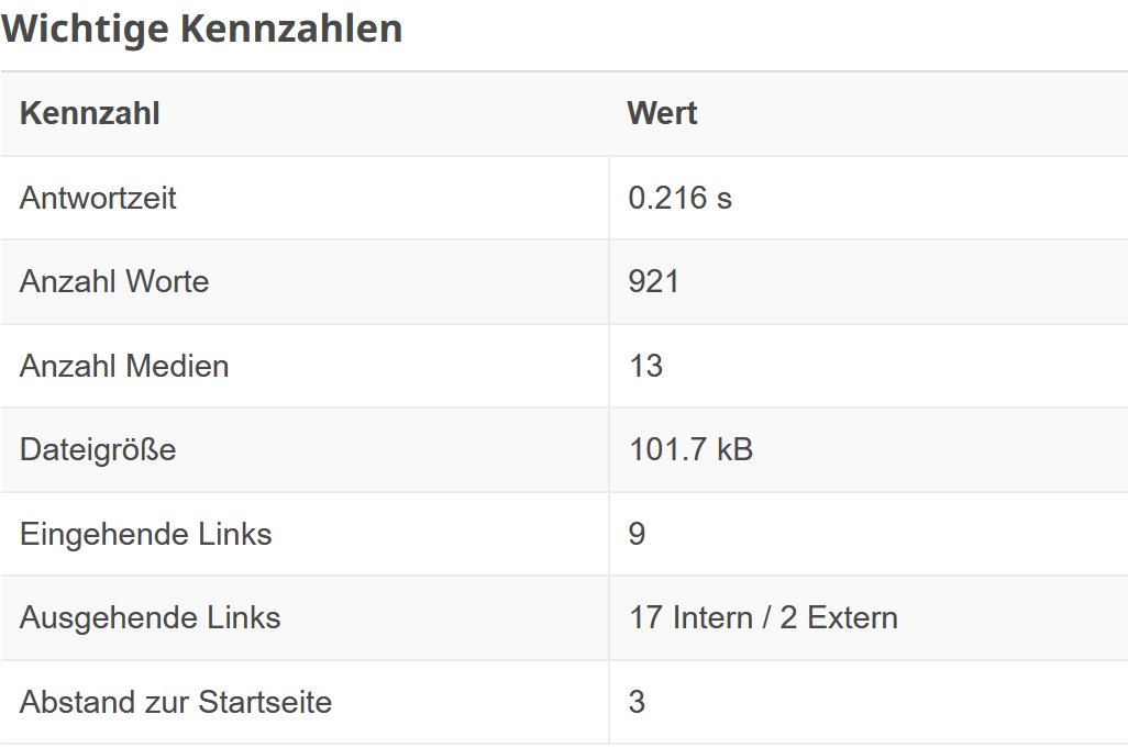 SEO Einzelseiten Analyse